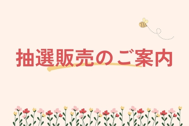 抽選販売